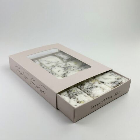 WILDWOOD Koku Barı | Orman Tabanı & Mimoza