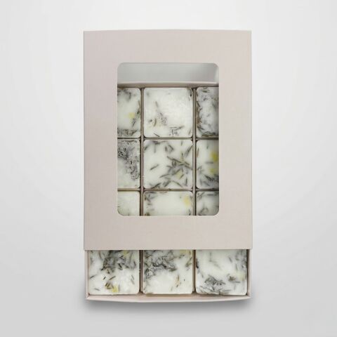 WILDWOOD Koku Barı | Orman Tabanı & Mimoza